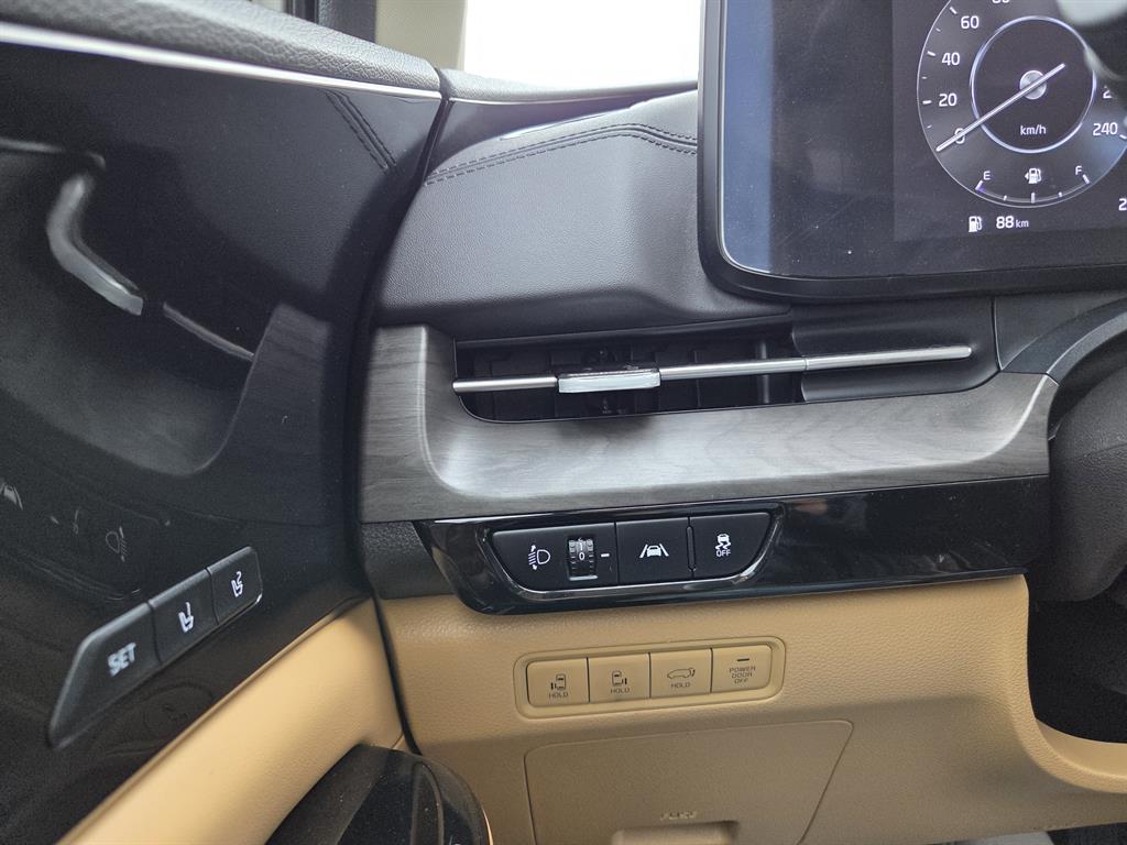 KIA Carnival - Vista 12
