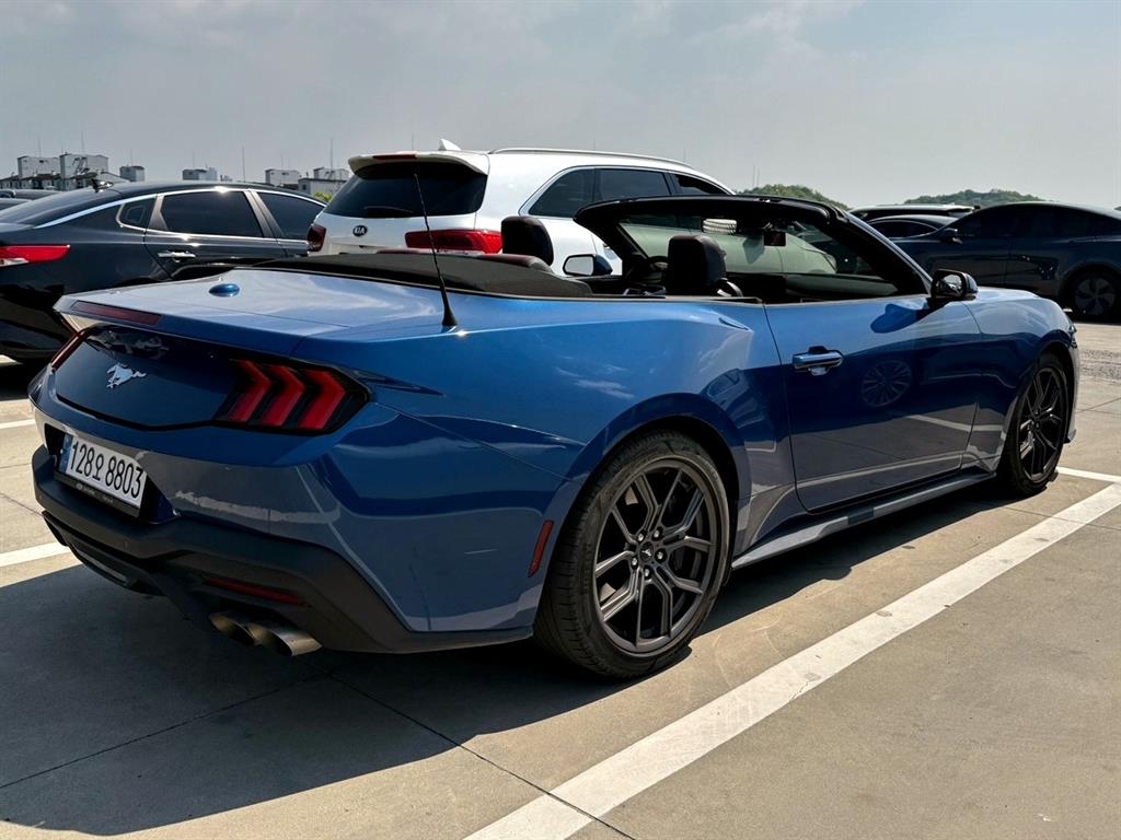 Ford Mustang - Vista 4