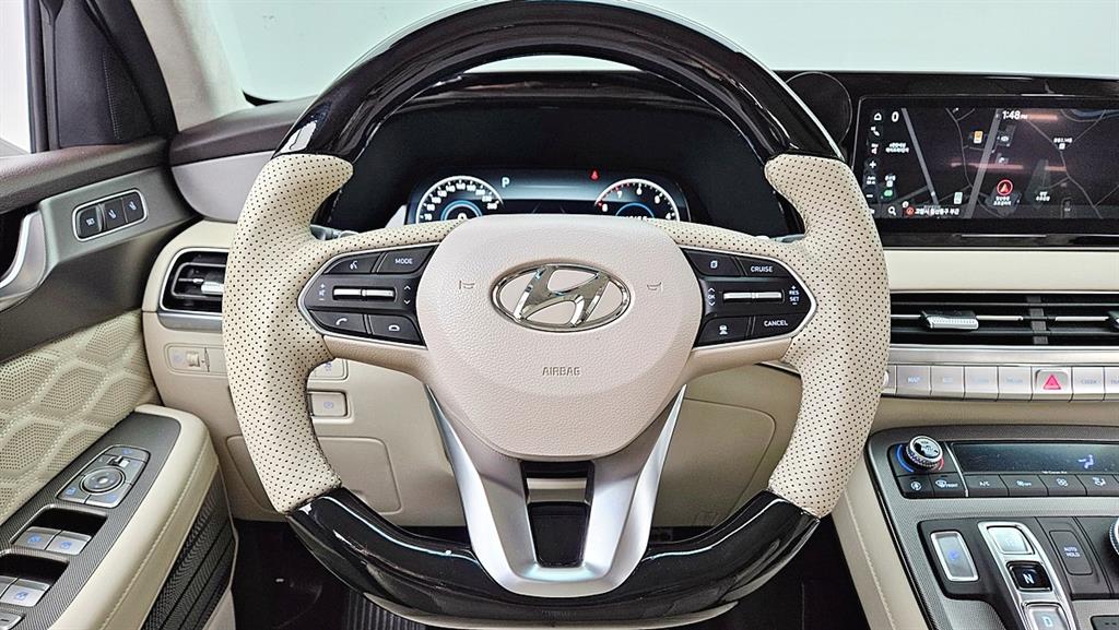 HYUNDAI Palisade - Vista 10