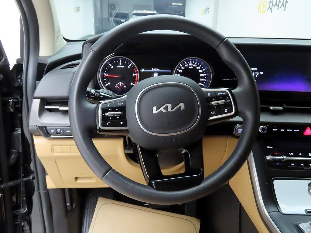 KIA Carnival - Vista 8