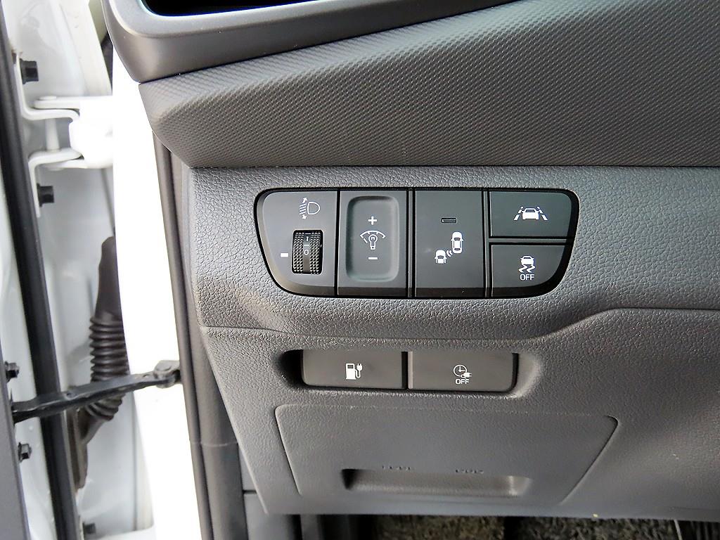 HYUNDAI Ioniq - Vista 12