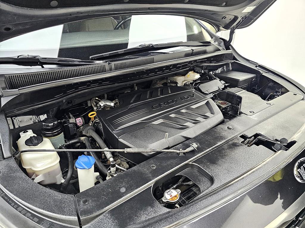 KIA Carnival - Vista 6