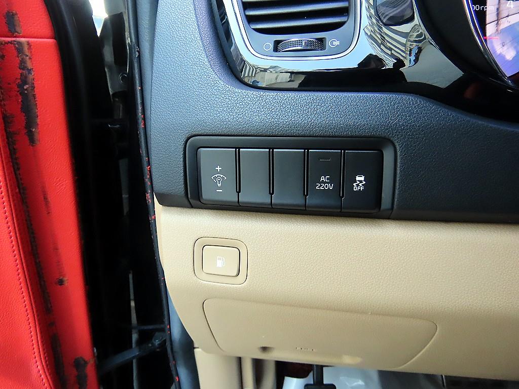 KIA Carnival - Vista 12