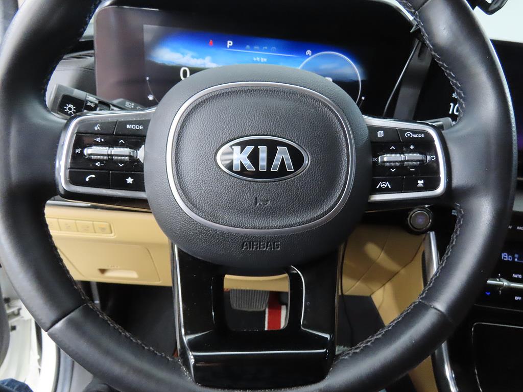 KIA Carnival - Vista 10