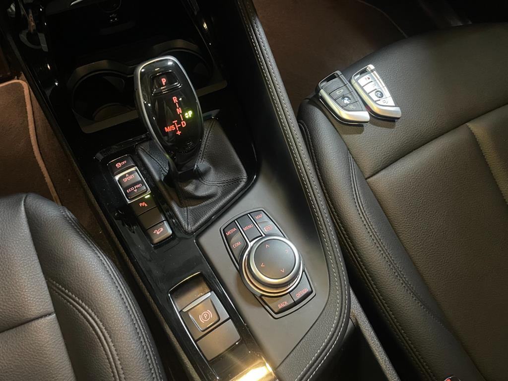 BMW X1 - Vista 10