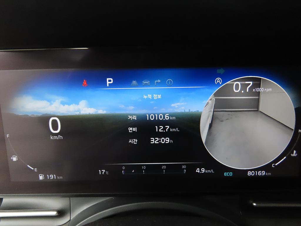 KIA Carnival - Vista 8