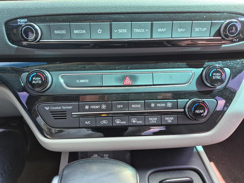 KIA Carnival - Vista 12