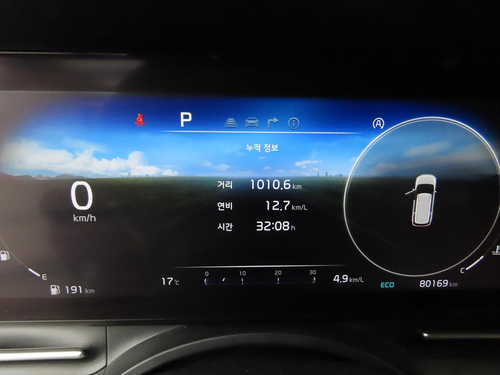 KIA Carnival - Vista 7