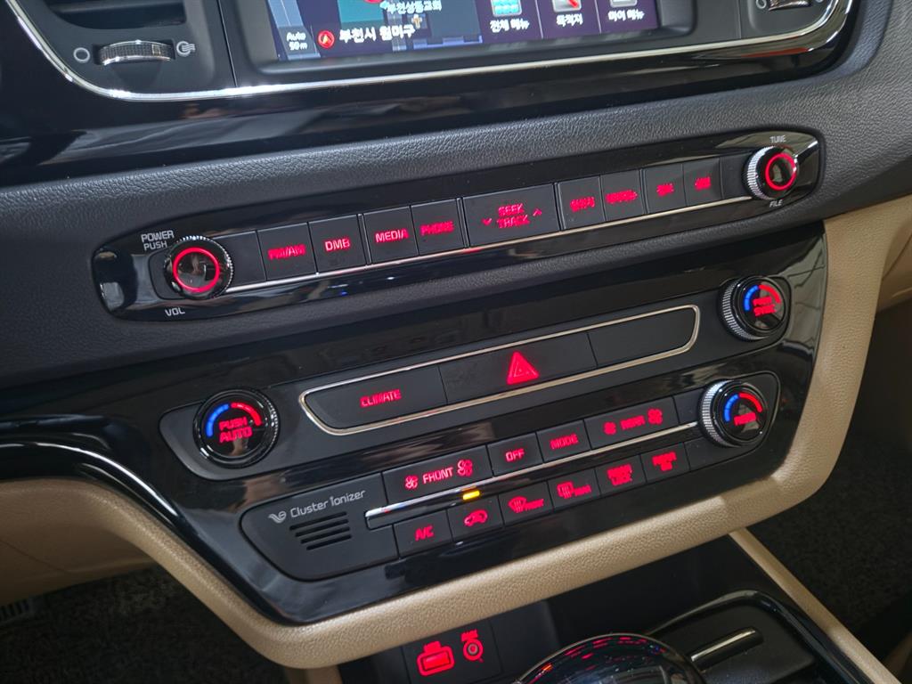 KIA Carnival - Vista 12