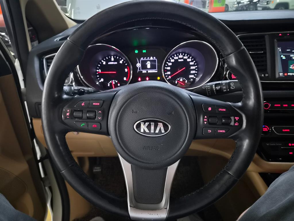 KIA Carnival - Vista 8