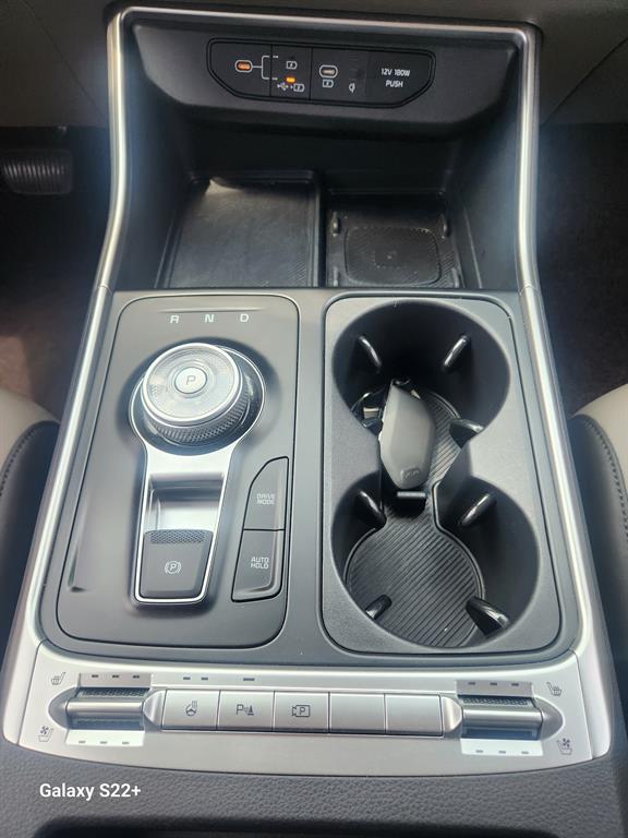 KIA Carnival - Vista 12