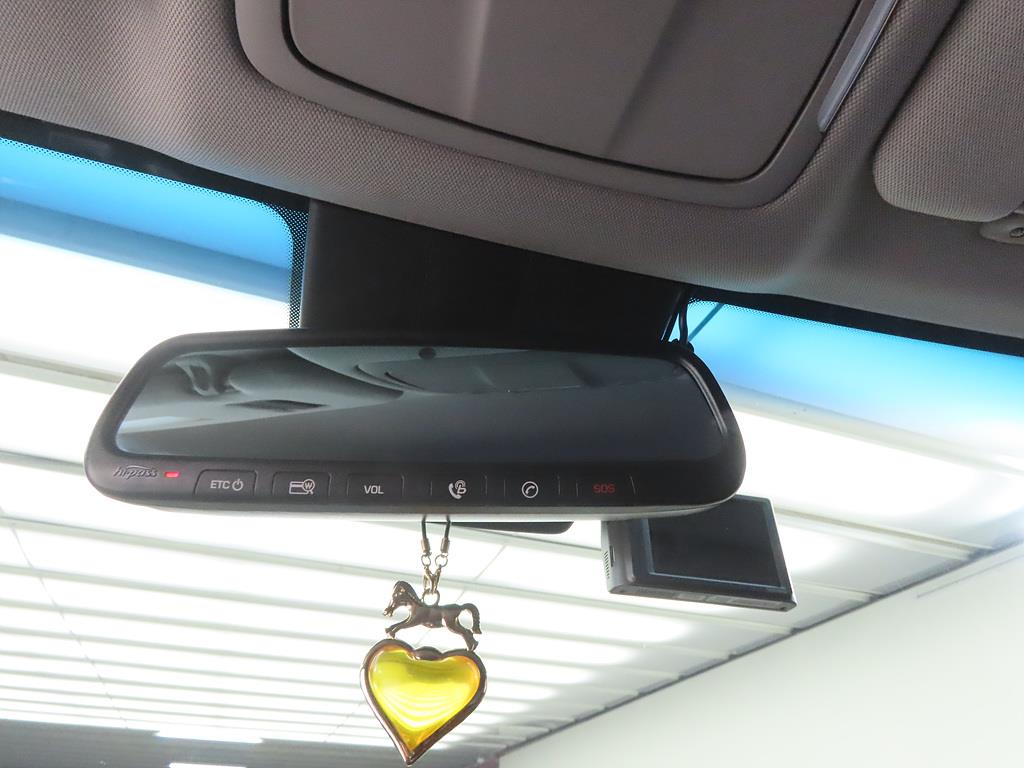 HYUNDAI Genesis - Vista 12