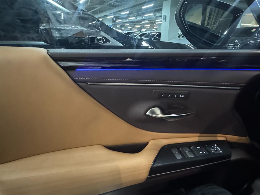Lexus ES - Vista 12