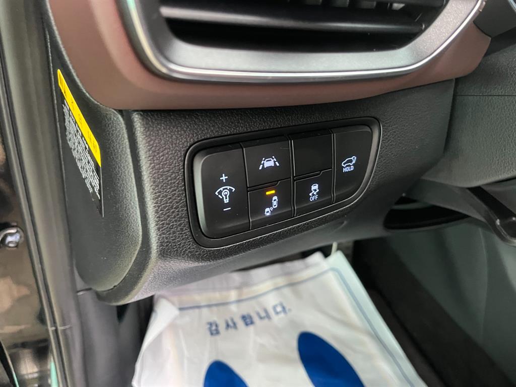 HYUNDAI Santa Fe - Vista 12