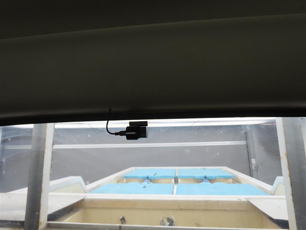 Small Truck (Completed) a live fish car 2018 Azul - Importación desde Corea - HF Imports Iquique - Foto 15