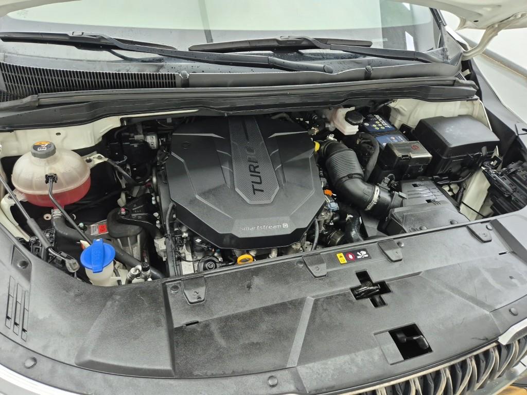 KIA Carnival - Vista 6