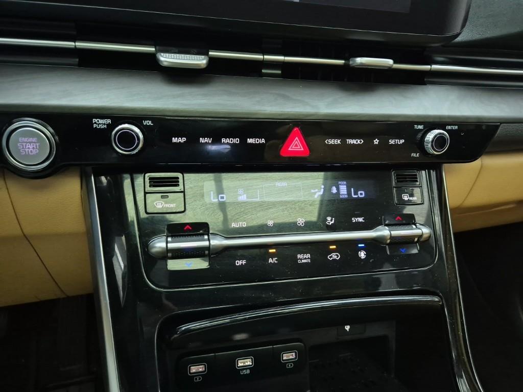 KIA Carnival - Vista 10