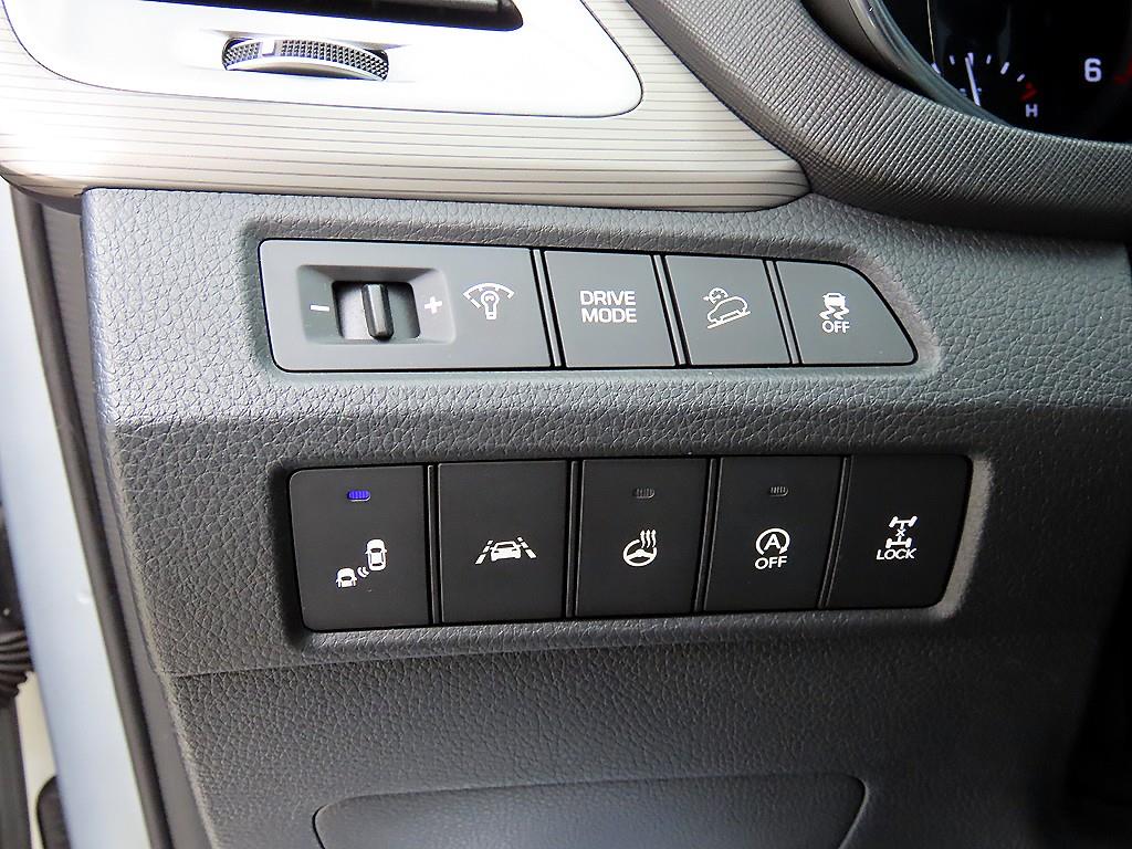 HYUNDAI Maxcruz - Vista 12