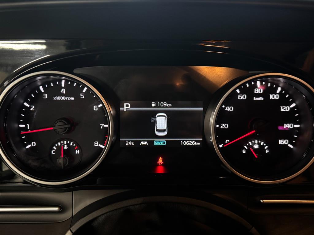 KIA Carnival - Vista 11