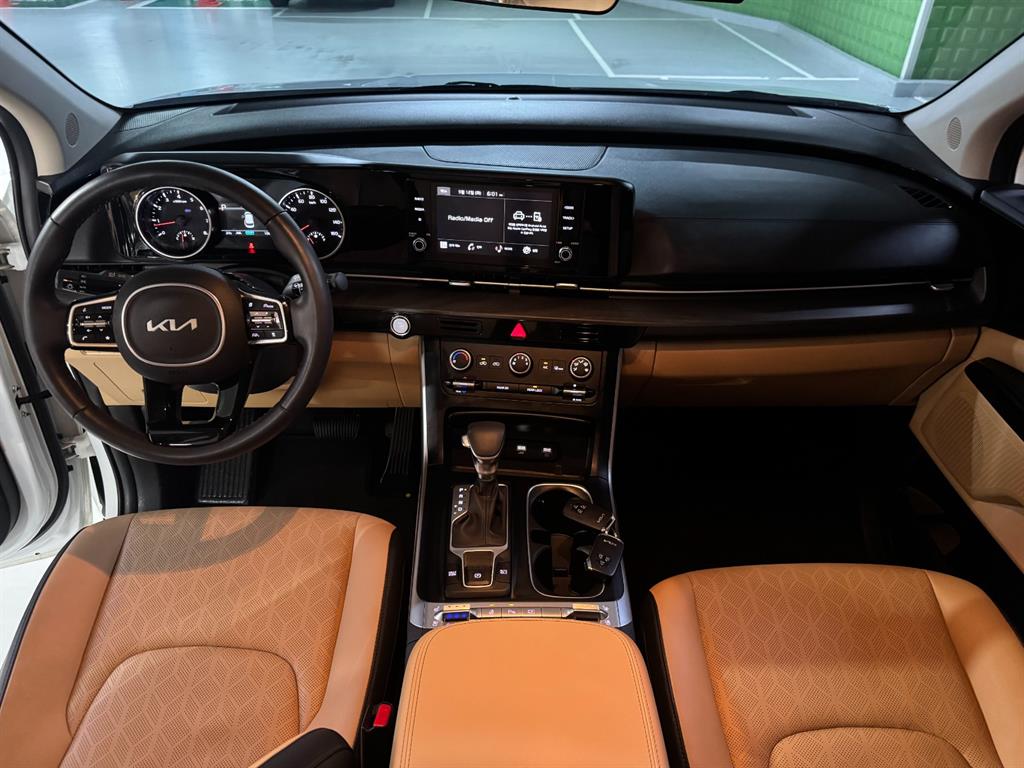 KIA Carnival - Vista 8