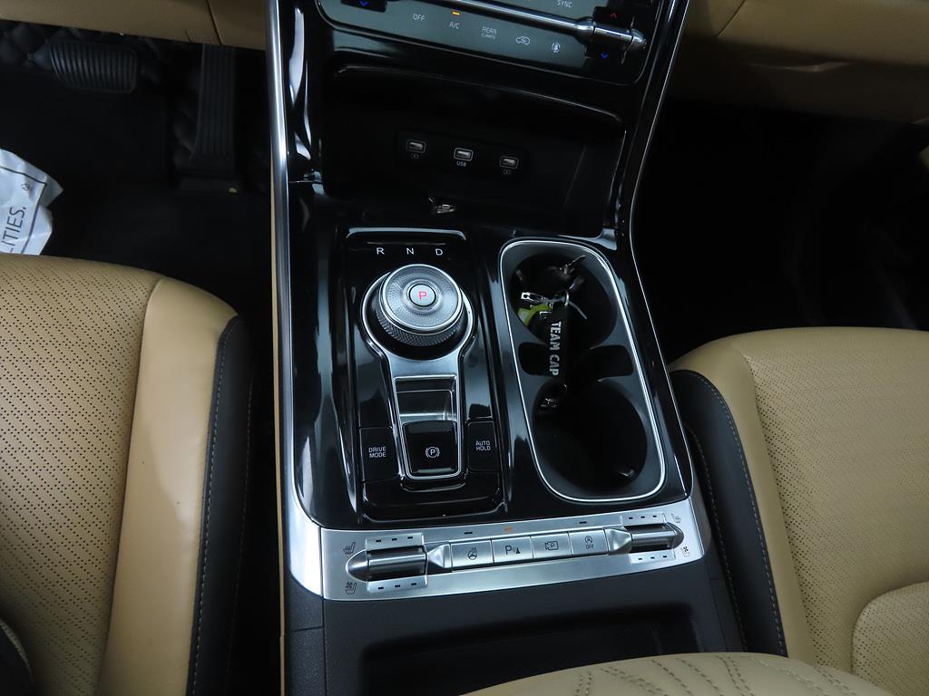 KIA Carnival - Vista 11