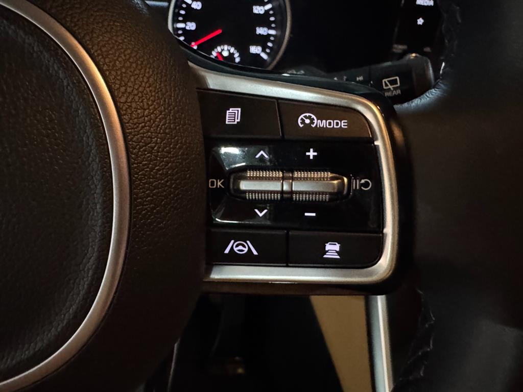 KIA Carnival - Vista 10