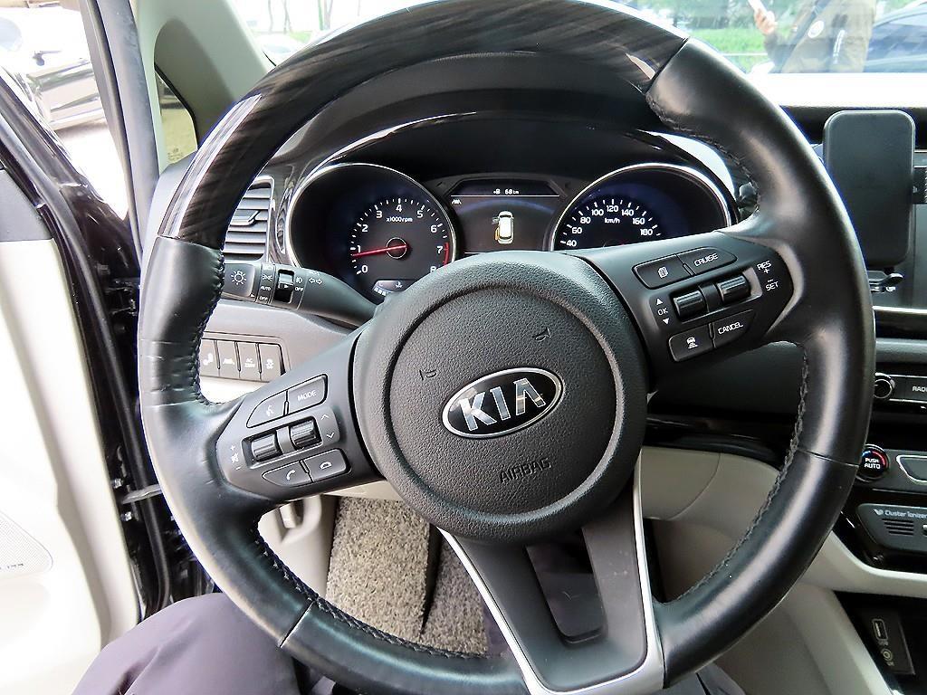 KIA Carnival - Vista 8
