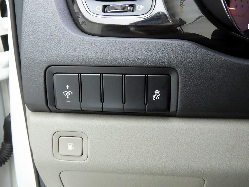 KIA Carnival - Vista 12