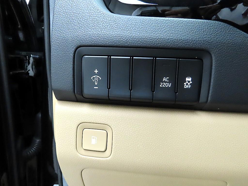KIA Carnival - Vista 12