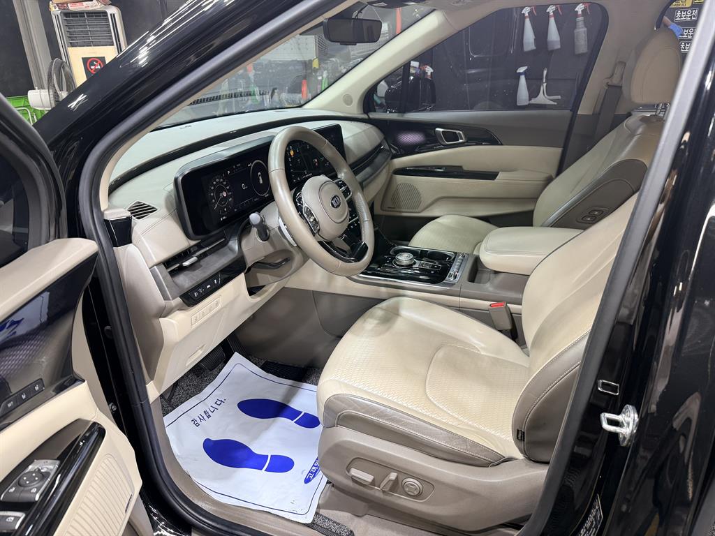 KIA Carnival - Vista 8