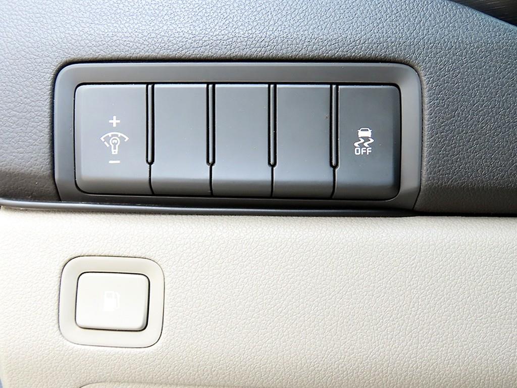 KIA Carnival - Vista 12