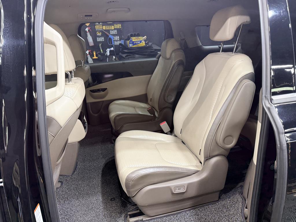 KIA Carnival - Vista 9