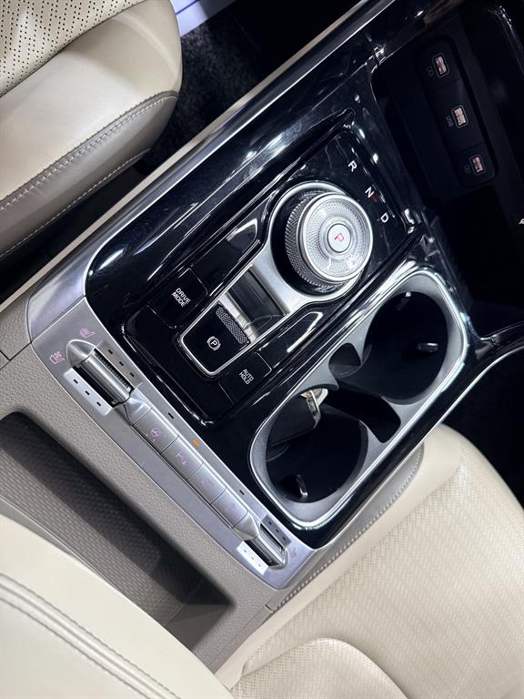 KIA Carnival - Vista 10