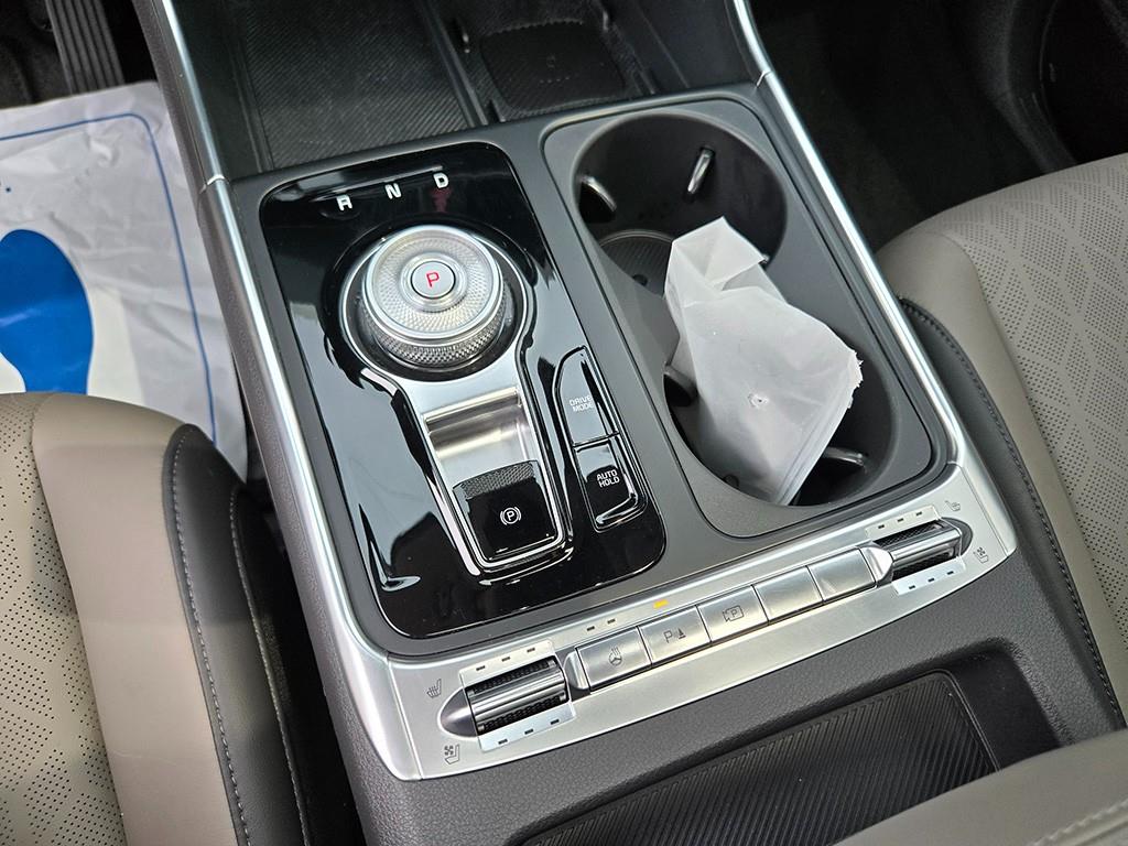 KIA Carnival - Vista 12