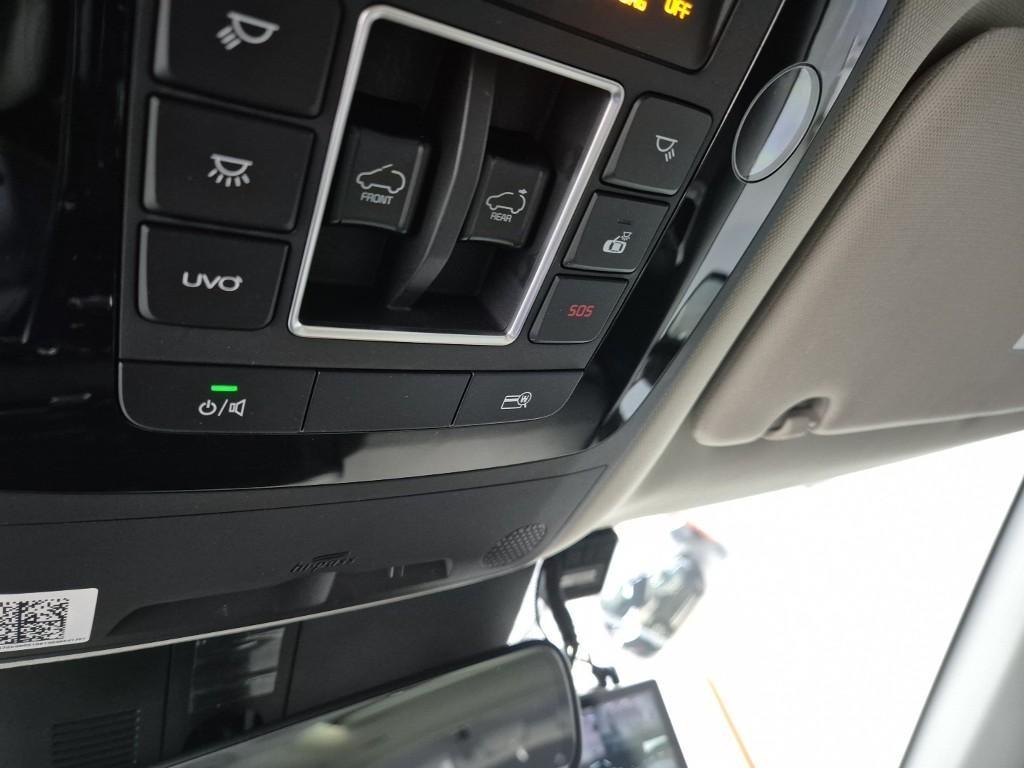 KIA Carnival - Vista 12
