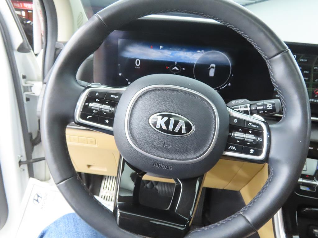 KIA Carnival - Vista 8