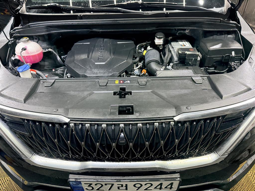 KIA Carnival - Vista 5