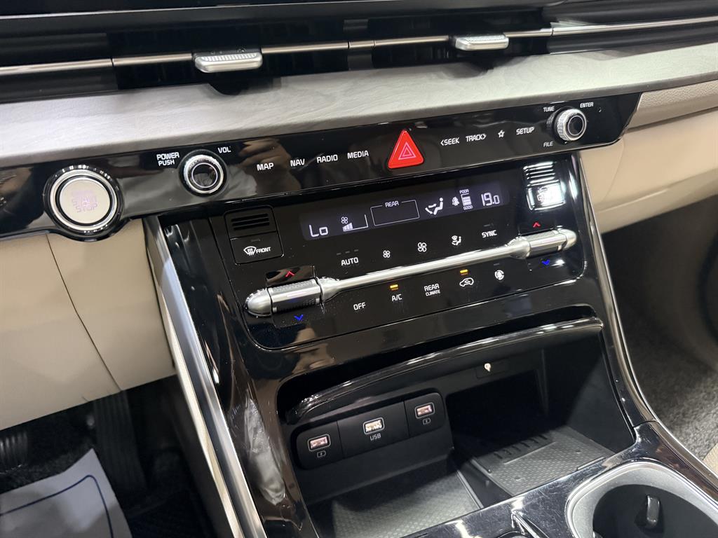 KIA Carnival - Vista 11