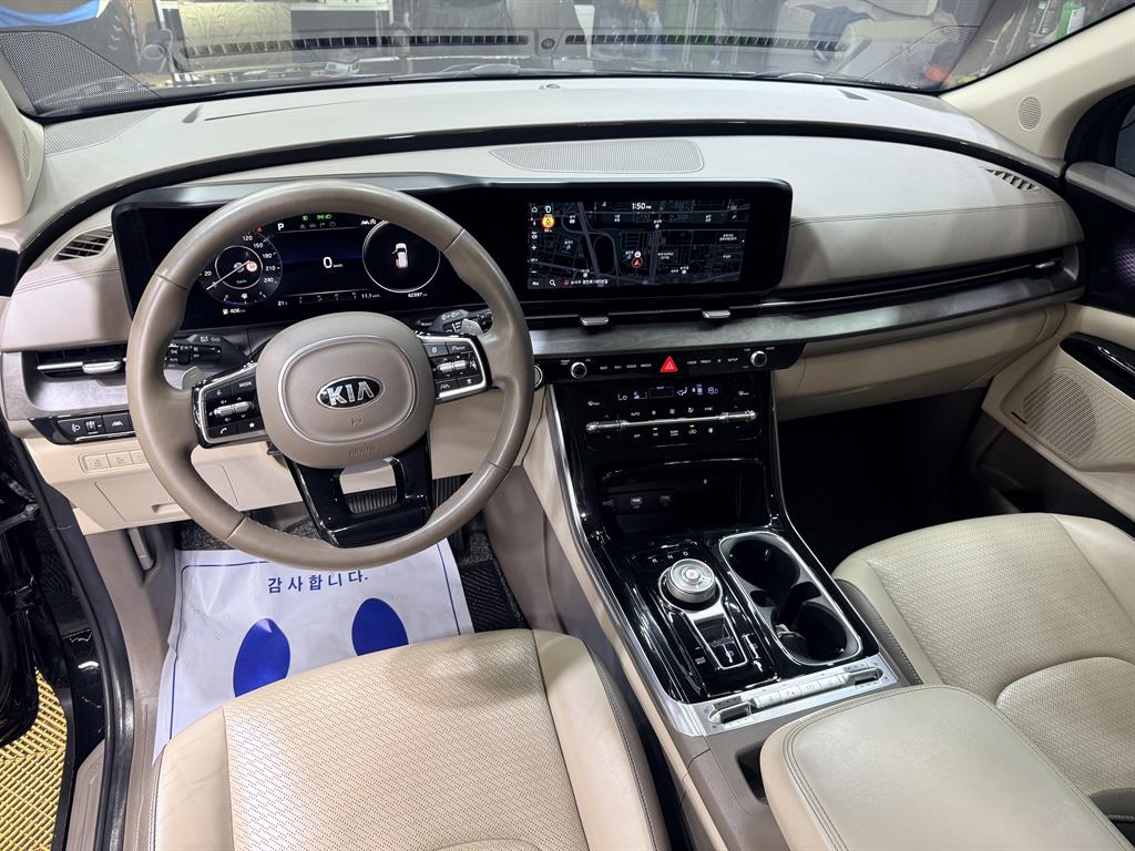 KIA Carnival - Vista 6