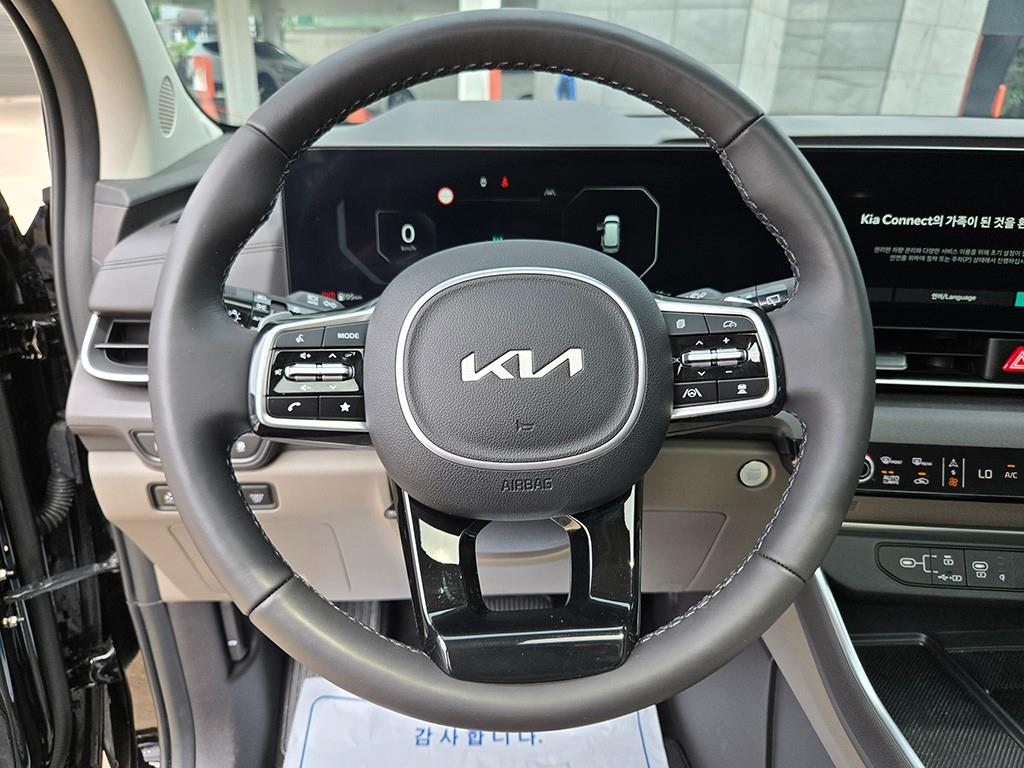 KIA Carnival - Vista 8