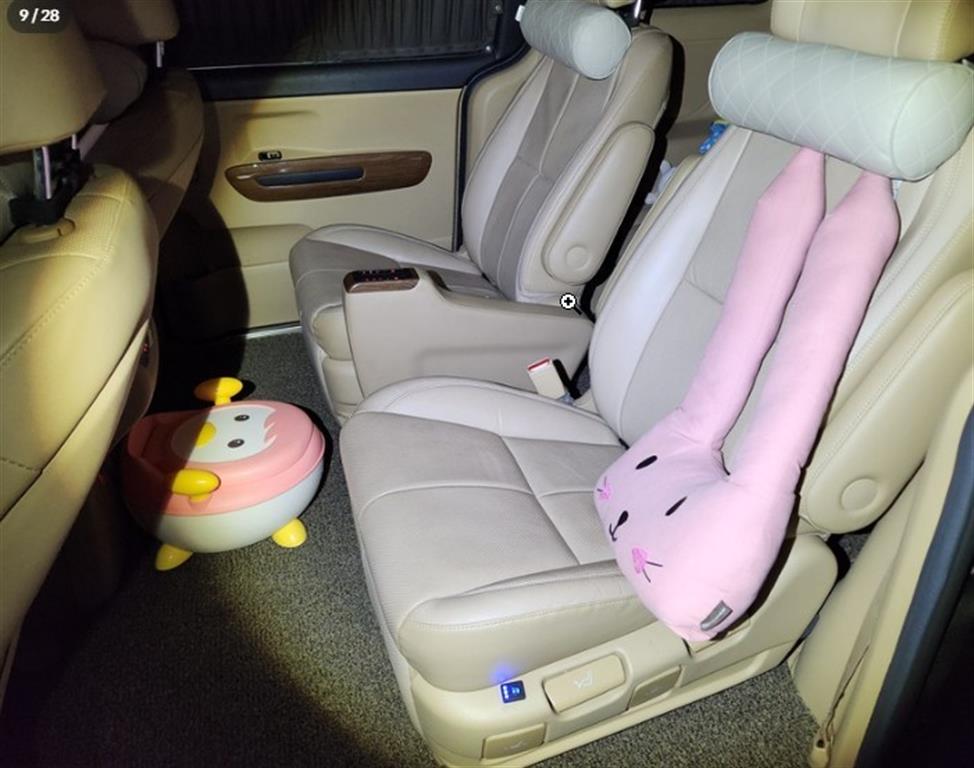 KIA Carnival - Vista 4