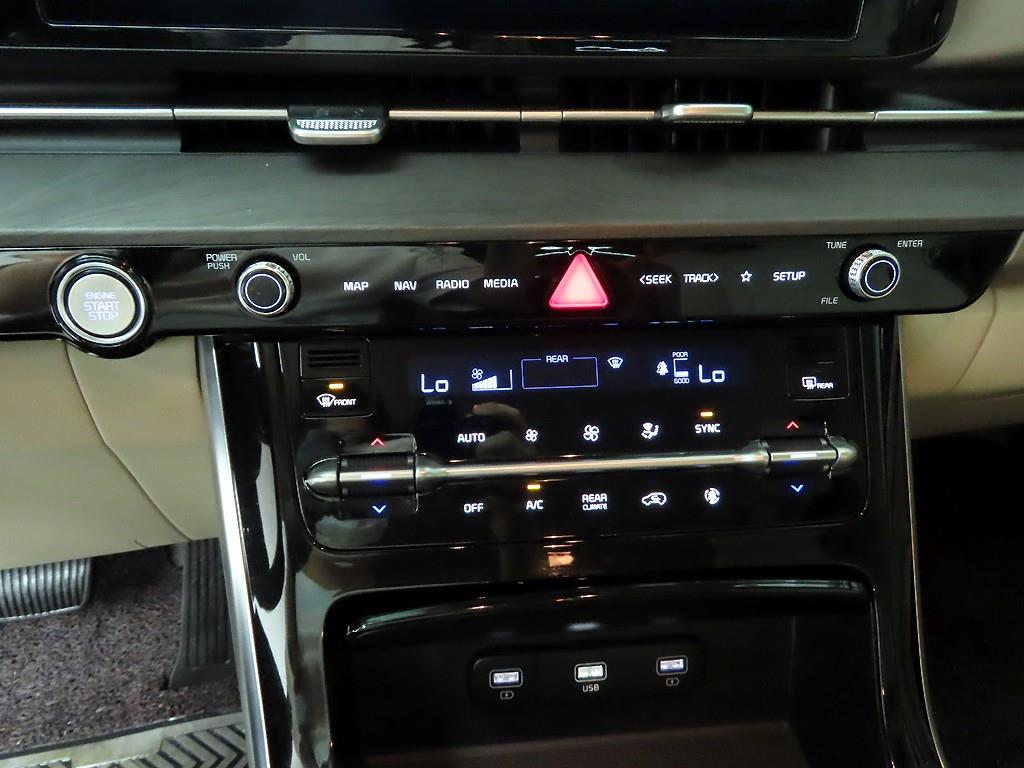 KIA Carnival - Vista 9