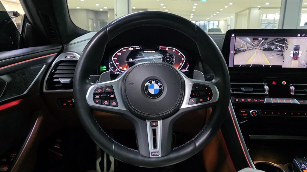 BMW 8 Series - Vista 6