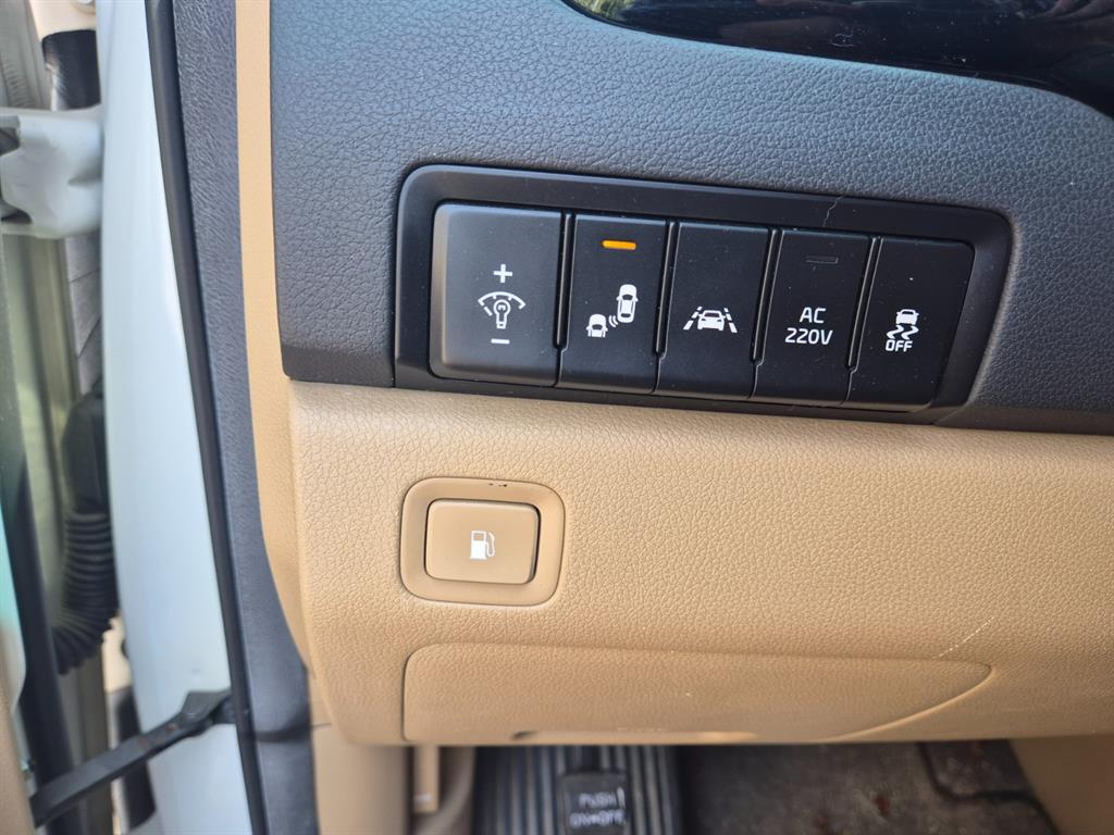 KIA Carnival - Vista 7