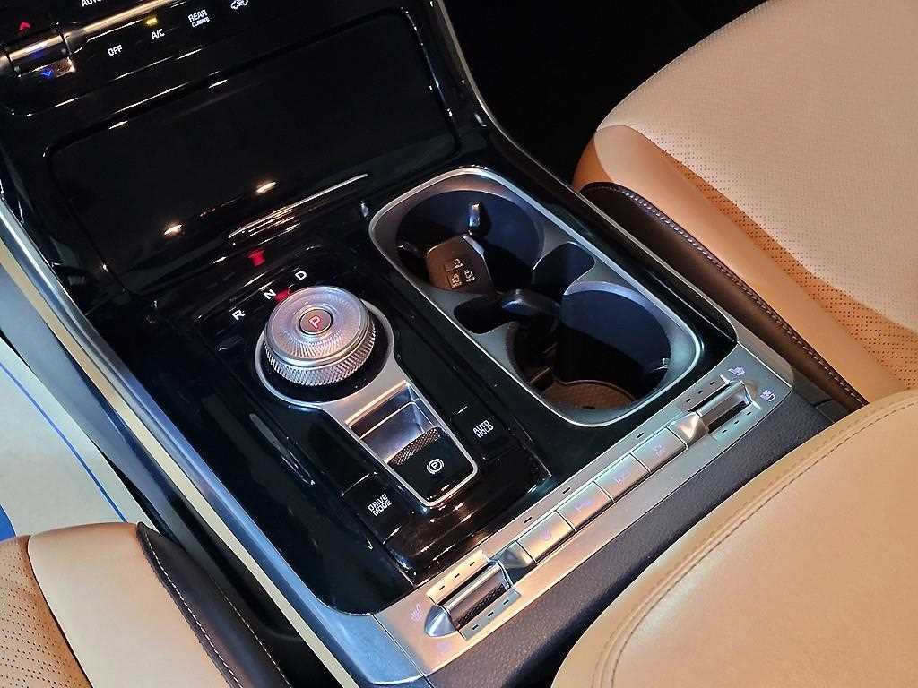 KIA Carnival - Vista 12