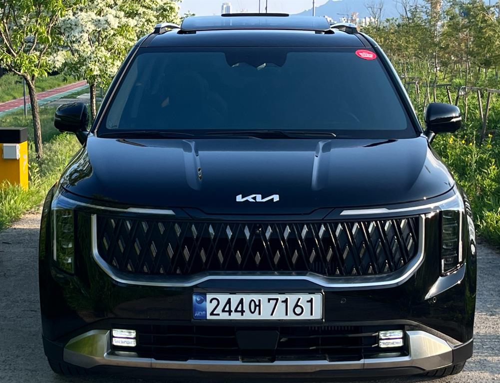 KIA Carnival - Vista 3