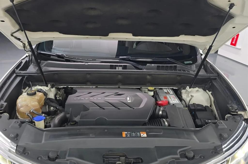 Lincoln MKX - Vista 6