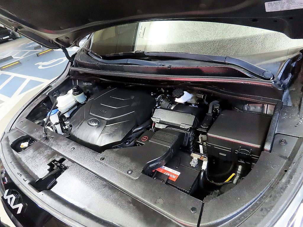 KIA Carnival - Vista 6