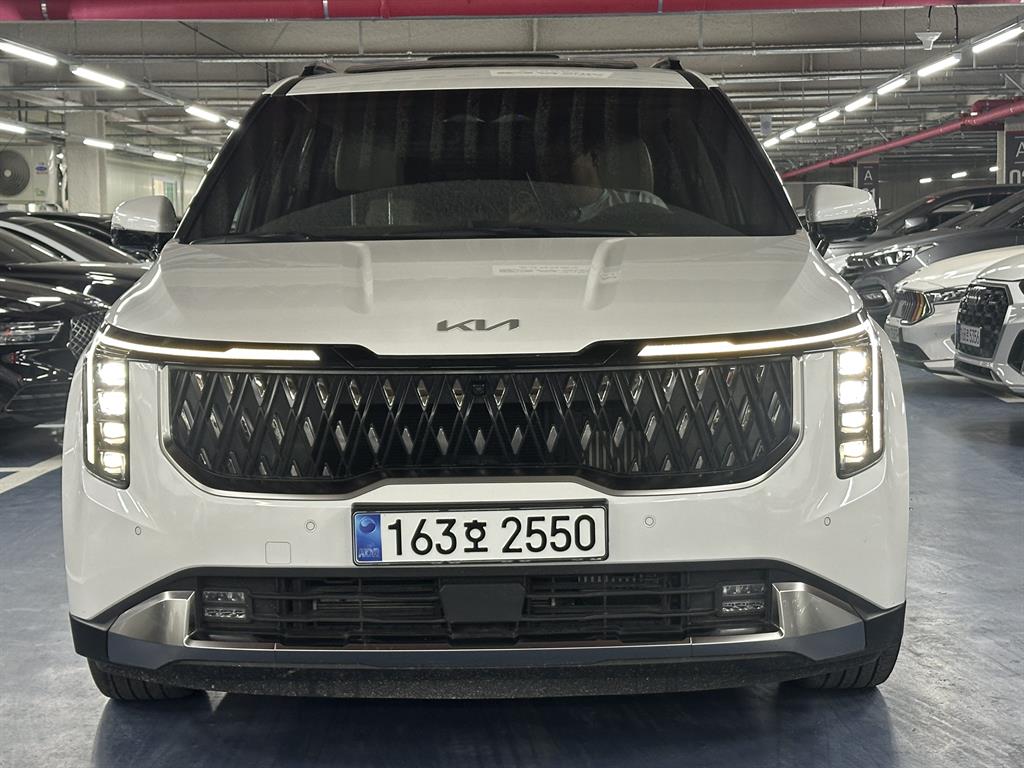 KIA Carnival - Vista 3