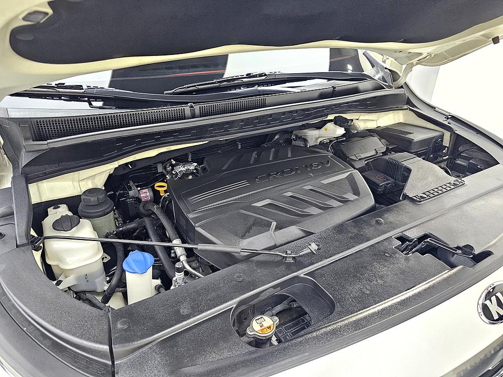 KIA Carnival - Vista 6